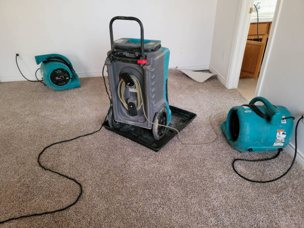 Water damage restoration experts in San Ysidro, NM