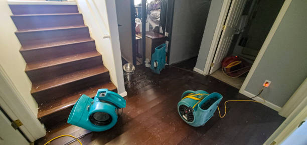 San Ysidro, NM Water damage restoration Company