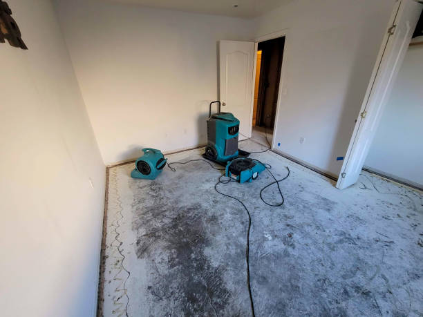 Water damage restoration insurance claims in San Ysidro, NM