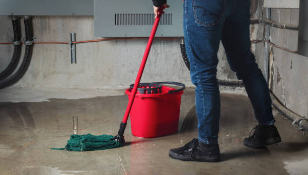 Best Professional water damage repair  in San Ysidro, NM