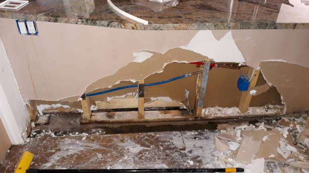 Reliable San Ysidro, NM Water damage restoration Solutions