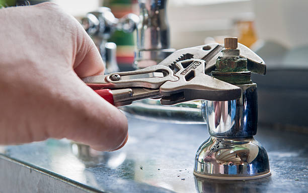 Best Mold removal after water damage  in San Ysidro, NM