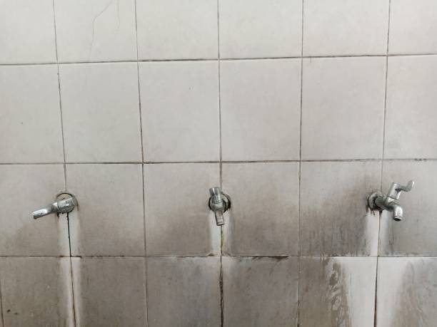 Best Ceiling water damage repair  in San Ysidro, NM