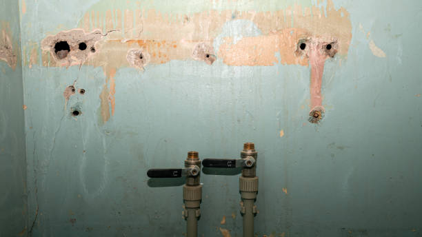 Best Sewage cleanup and water damage restoration  in San Ysidro, NM