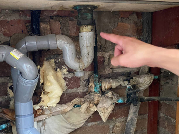 Best Flooded house restoration  in San Ysidro, NM